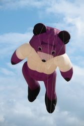 StAnnesSports2022-070