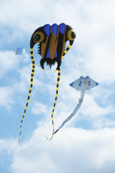 StAnnesSports2022-072