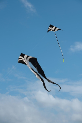 StAnnesSports2022-078