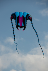 StAnnesSports2022-085