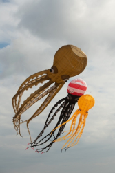 StAnnesSports2022-091