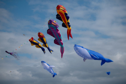 StAnnesSports2022-093