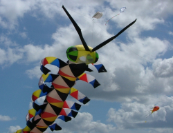 Sunderland2005-062