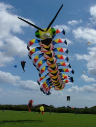 Sunderland2005-063