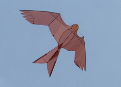 Sunderland2006-001