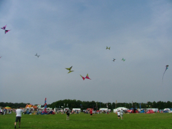 Sunderland2006-007