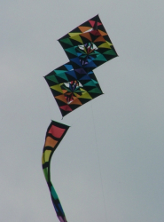 Sunderland2006-057