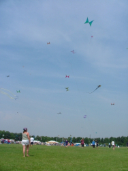 Sunderland2006-097