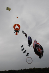 Sunderland2008-005