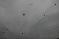 Sunderland2008-016