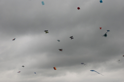 Sunderland2008-022