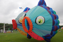 Sunderland2008-028