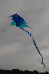 Sunderland2008-043