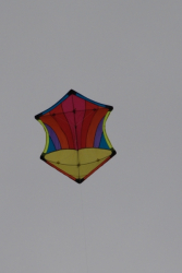 Sunderland2008-045