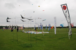Sunderland2008-069