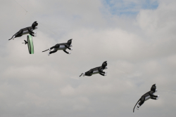 Sunderland2008-083
