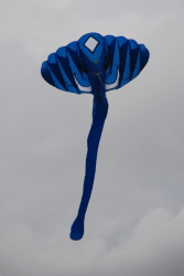 Sunderland2008-087