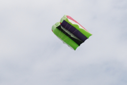 Sunderland2009-004