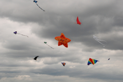 Sunderland2009-082