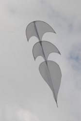 Sunderland2009-144