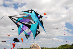 Sunderland2010-017