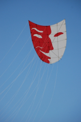 Sunderland2010-066