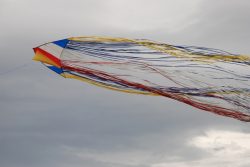Sunderland2010-080