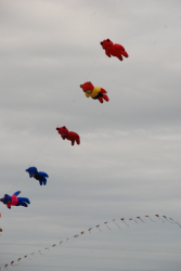 Sunderland2010-081