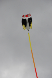 Sunderland2010-083