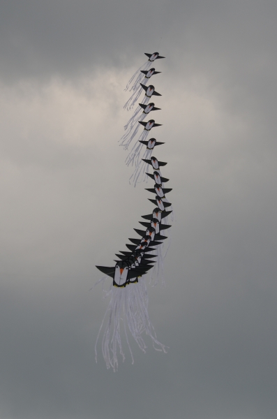 Sunderland2011-025