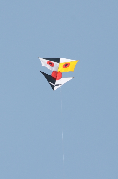 Sunderland2011-042