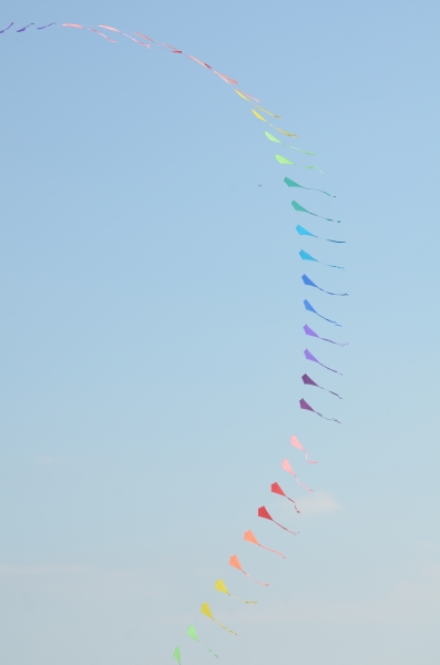 Sunderland2011-047