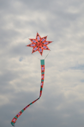 Sunderland2011-052