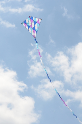 Sunderland2011-071