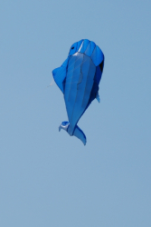 Sunderland2011-089
