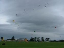 Tewkesbury2004-007