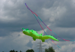 Tewkesbury2005-013