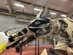 Hatchling2024-055
