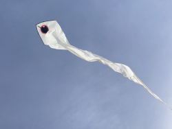 Hatchling2024-001