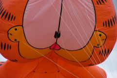 Kite Festivals 2004