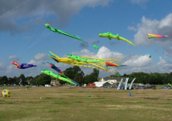 Wakefield2005-003