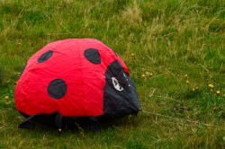 wakefield2012-011