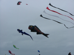 WhitleyBay2006-001