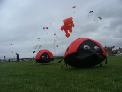 WhitleyBay2006-008