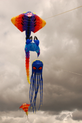 WhitleyBay2007-004