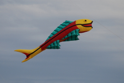 WhitleyBay2008-048