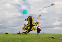 WhitleyBay2008-075