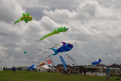 WhitleyBay2008-088