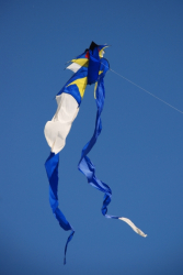 WhitleyBay2008-106