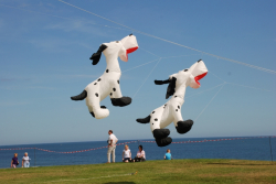 WhitleyBay2009-028